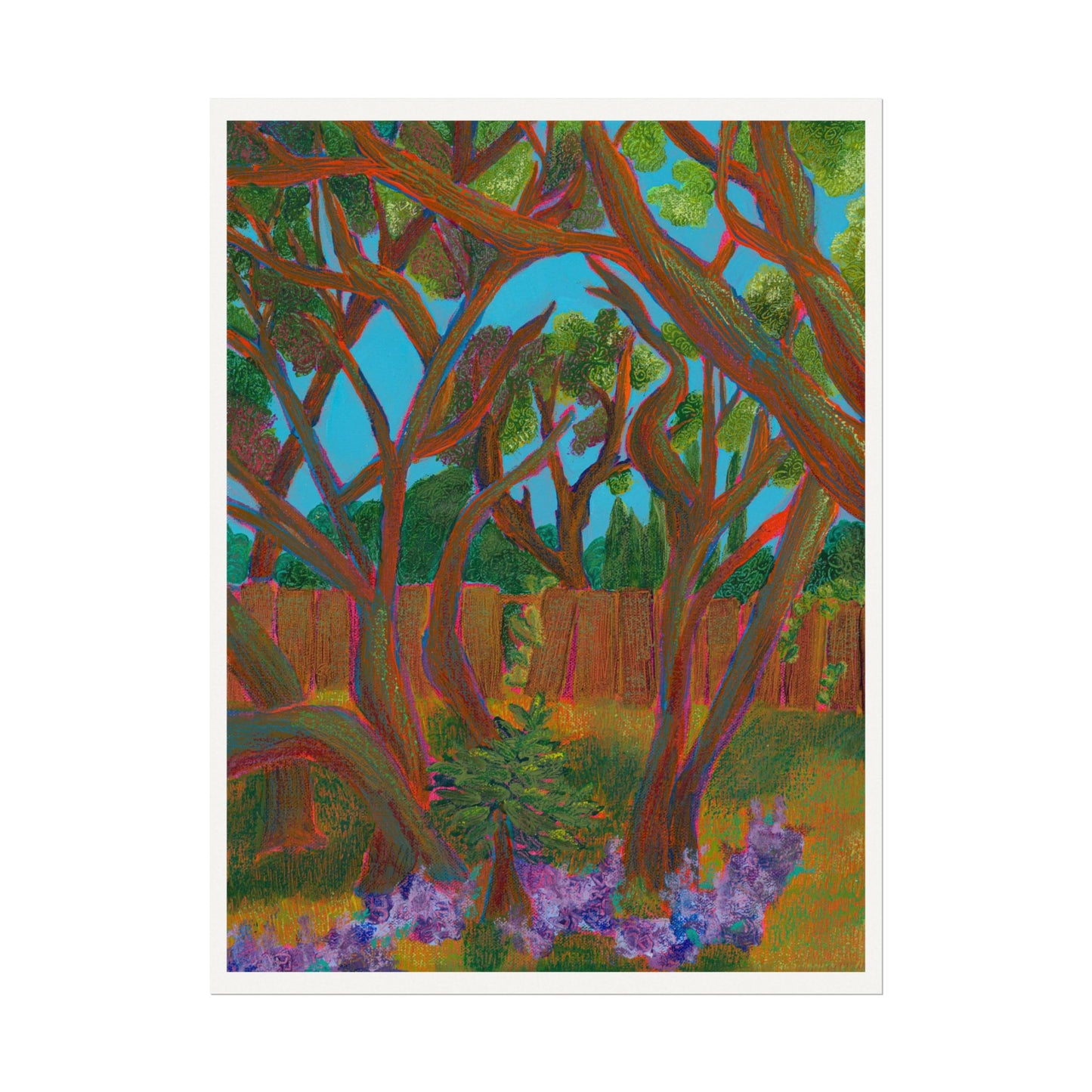 wildwood window