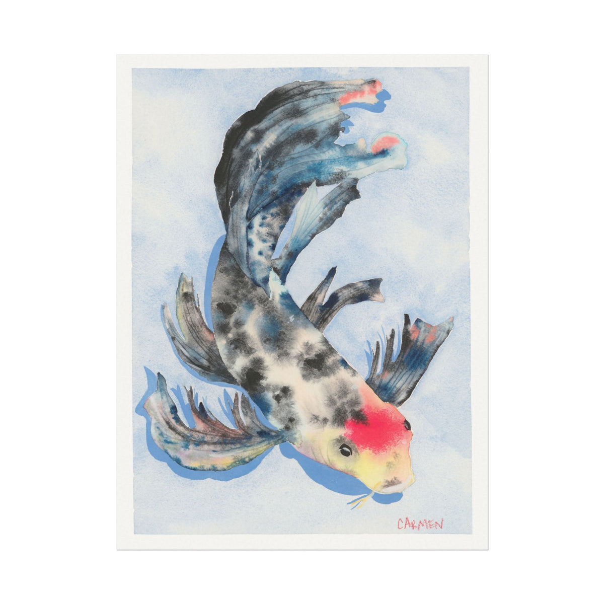 Tancho Showa Koi