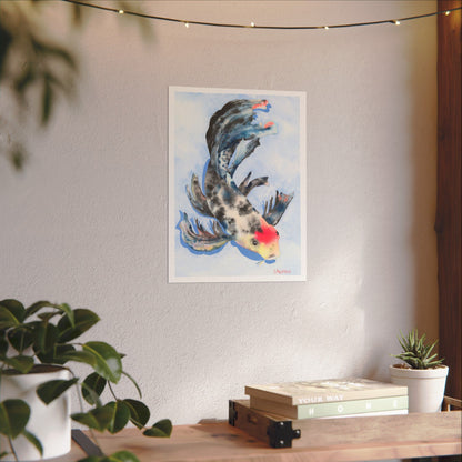 Tancho Showa Koi